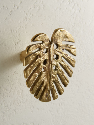 Monstera Knob Polished Brass