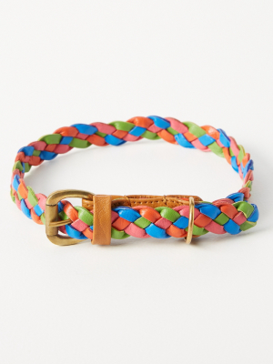 Windsor Dog Collar