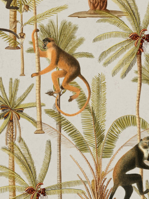 Barbados Wallpaper In Taupe And Green From The Rediscovered Paradise Collection By Mind The Gap