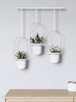 Triflora Hanging Planters And Rod
