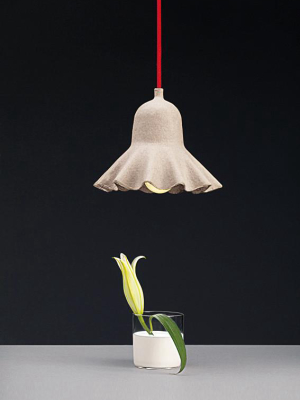 Egg Of Columbus Suspended Carton Lamp