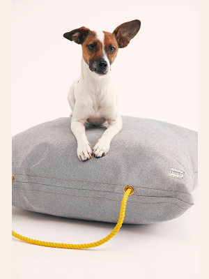 Free People X Found Denim Dog Bed