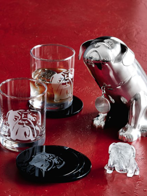 Bulldog Coasters, Set Of 4