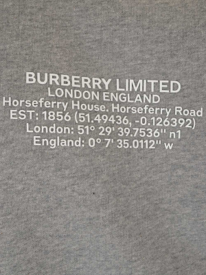 Burberry Logo Printed Crewneck Sweatshirt