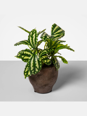 7.7" X 3.7" Artificial Splatter Leaf Arrangement In Pot White - Opalhouse™