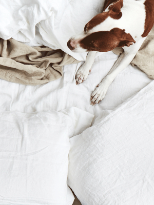 Simple Linen Fitted Sheet