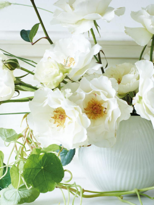 White Folia Rose Bowl