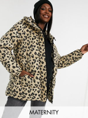 Pieces Maternity Padded Coat With Belted Waist In Leopard