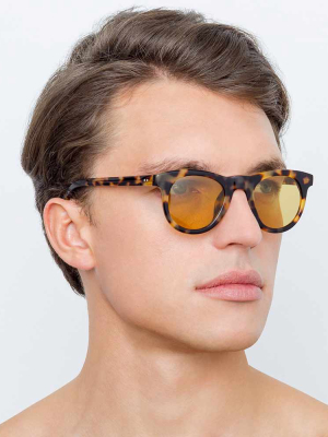 Dries Van Noten 133 C10 D-frame Sunglasses