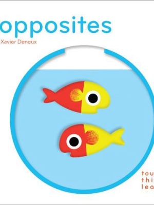 Touchthinklearn: Opposites By Xavier Deneux