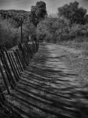 Fence Shadows