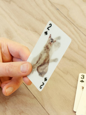 Playing Cards Cats 3d