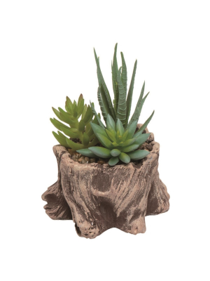 Transpac Resin 5 In. Brown Spring Faux Wood Stump Succulent Display