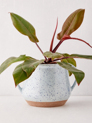 Kiera Speckled Ceramic 8" Planter