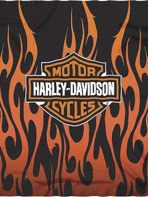 The Northwest Company Harley Davidson Flames Logo, Orange