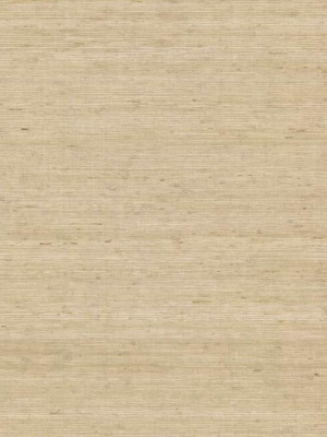 Arrowroot Grasscloth Wallpaper In Sand From The Water's Edge Collection By York Wallcoverings