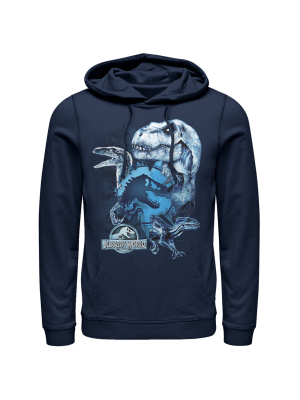 Men's Jurassic World: Fallen Kingdom Dinosaur Frost Pull Over Hoodie