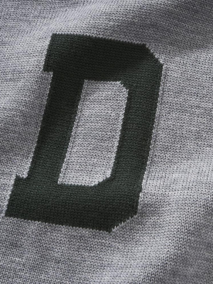 Merino Dartmouth Letter Sweater (gray)