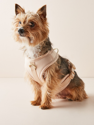 Wild One Dog Harness