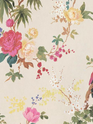 Dreamy Vintage Birds & Floral Wallpaper In Cream By Walls Republic