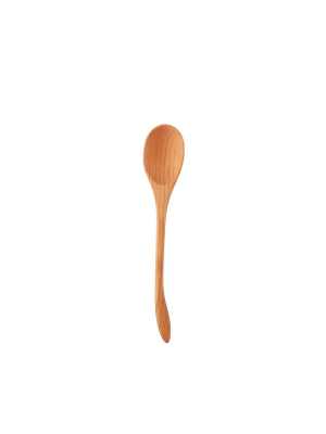 Ordinary Spoon Left