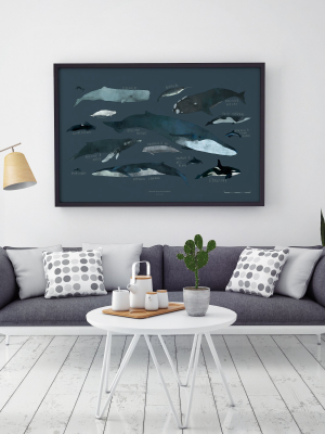 Whales Art Print