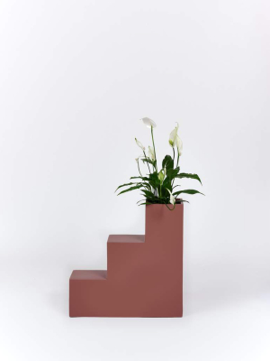 Steps Planter