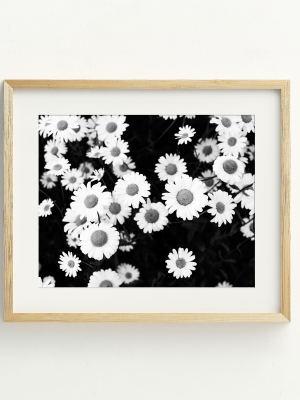 Daisies Bw