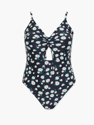 Plus Size One-piece Swimsuit