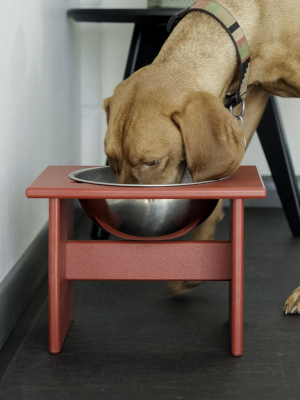 Minimalist Single Dog Bowl