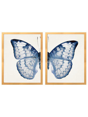 Split Blue Butterfly B