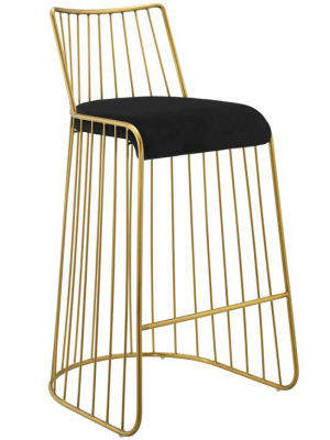 Rivulet Gold Stainless Steel Upholstered Velvet Bar Stool