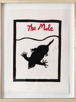 The Mole