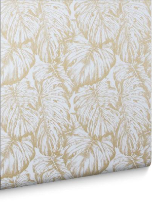 Tropical Wallpaper In Pearl And Gold From The Exclusives Collection By Graham & Brown