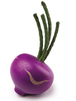 Turnip