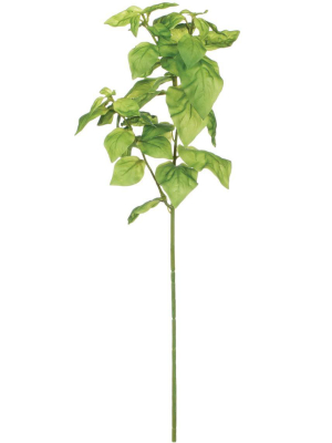 Sullivans Artificial Basil Spray 21.5"h Green