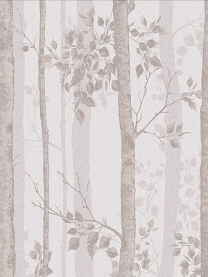 Albero Wallpaper In Blush From The Exclusives Collection By Graham & Brown