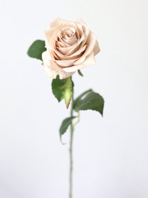 Artificial Flowers Rose In Taupe Beige - 21.5"