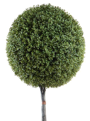 Uv Stable Single Boxwood Topiary