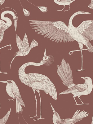 Katie Scott Birds Wallpaper Dusty Red