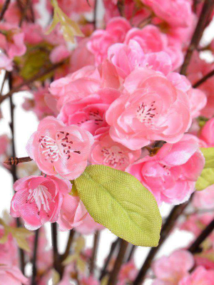 Cherry Blossom Arrangement