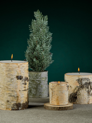 Birchwood Fragrance Free Pillar Candle