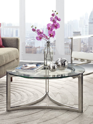 Seal Stainless Steel Coffee Table