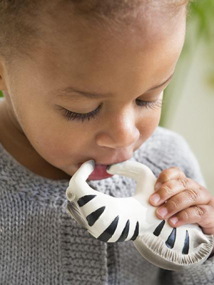 Zoe The Zebra Chewable Bracelet By Oli & Carol