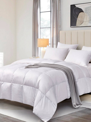 Light Warmth Down Fiber Comforter - Scott Living