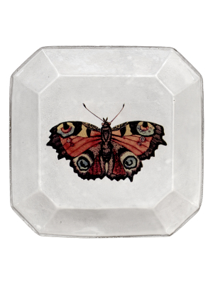 Butterfly Square Plate