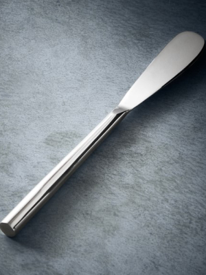 Open Kitchen By Williams Sonoma Stainless Steel Cheese Spreader