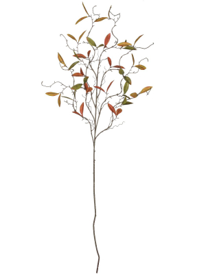 Sullivans Artificial Leaf Branch 50"h Brown