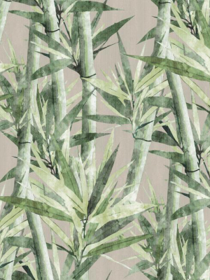 Lucky Bamboo Peel & Stick Wallpaper In Taupe By Roommates For York Wallcoverings