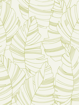 Jungle Leaves Wallpaper In Green Apple From The Day Dreamers Collection By Seabrook Wallcoverings